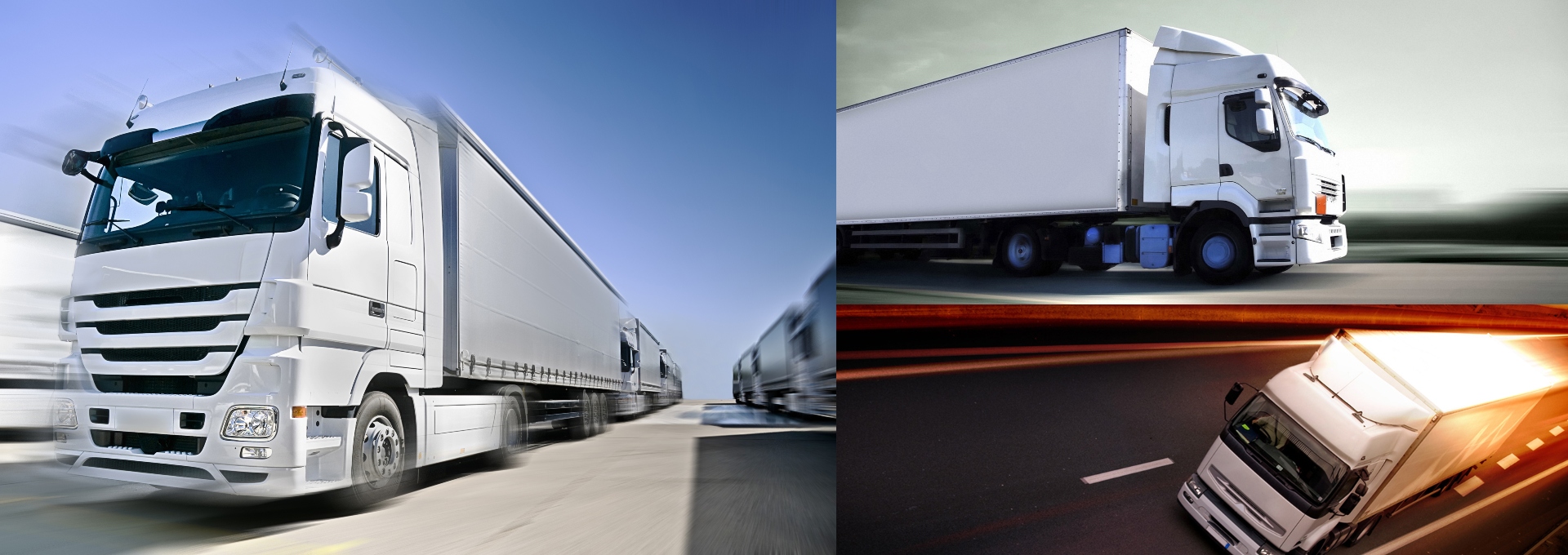 paqueteria y mensajeria en leon gto