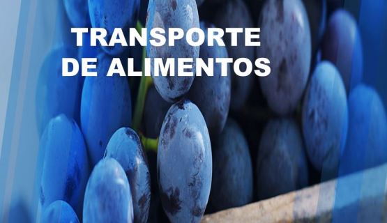 empresa de transporte en leon gto