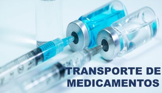 empresa de transporte en leon gto